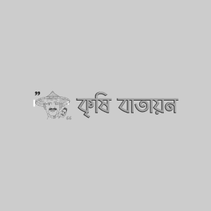 অগ্রণী